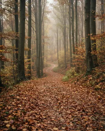 Lesná cesta v jesennom Horskom parku