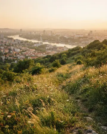 Lúka na Kolibe s výhľadom na Bratislavu