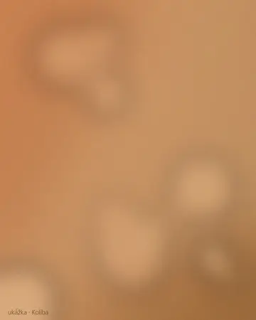 Lúka na Kolibe s výhľadom na Bratislavu