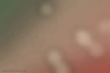 Detail vianočnej ozdoby a šálky kakaa